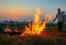 NASA says that changes in the timing of crop residue burning are affecting air quality in northern India.