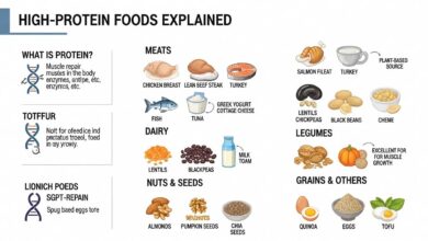 8 High-Protein Foods That Build Repair Muscle