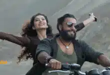 Dhurandhar Box Office Collection Day 31: The film earned the highest amount in its fifth weekend, raking in ₹820.30 crore.