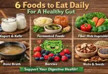 Daily Foods for a Healthy Gut