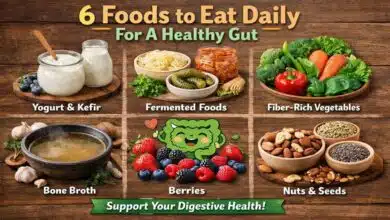 Daily Foods for a Healthy Gut