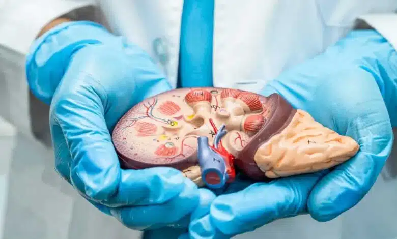 Hepatitis Symptoms, Types, Prevention and Treatment