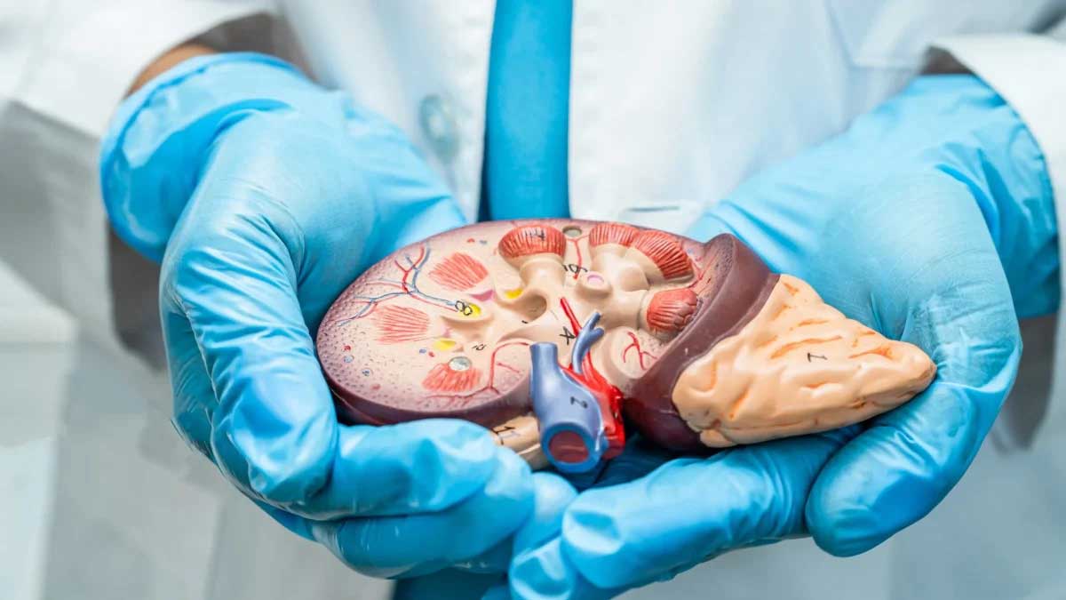 Hepatitis Symptoms, Types, Prevention and Treatment