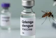 Qdenga Dengue Vaccine Approved in India Find Out Which Age Groups Are Eligible for Vaccination