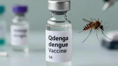 Qdenga Dengue Vaccine Approved in India Find Out Which Age Groups Are Eligible for Vaccination