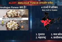 What is Analogue Paneer Banned in 4 states how harmful is it to health