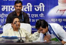 Mayawati major statement regarding AkashAnandmentions Ashok Siddharth