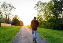 What is Nature Therapy Benefits of spending time in nature.