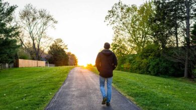 What is Nature Therapy Benefits of spending time in nature.